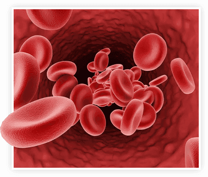Scientific illustration